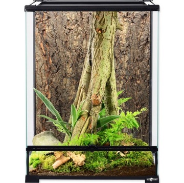 Tall glass reptile habitat 45x45x60 Reptiplanet