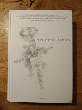 Non Sensistis Gladios