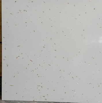 Konglomerat kwarcowy STAR SHELL WHITE 60x60x1,2