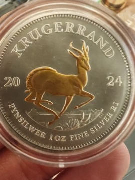 Krugerrand 2024 1oz złocony 24k złotem 