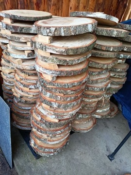 Krążki plastry drewna brzoza 25cm do 28cm średnica