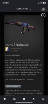 AK-47 nocne życzenie WW, CSGO