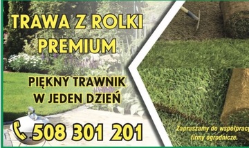 Trawa w rolce PREMIUM trawa z rolki TRAWA