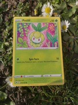Karty pokemon Petilil 015/189