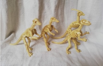 Dinozaury Szkielety