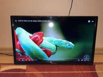 Telewizor Skymaster 24 LED monitor