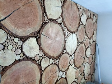 Plastry drewna 4cm, średnica do 60cm - daglezja