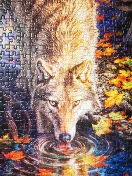 Puzzle 1500 elementów Castorland wilk las jesień