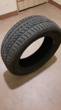 Dębica Frigo HP2 /zimowa/ 205/55R16 91 H