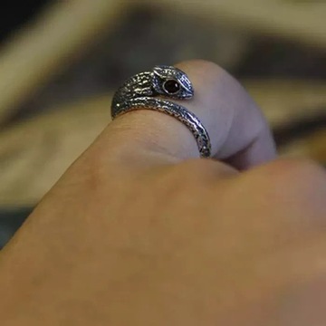 Srebrny pierścień kameleon pierścionek  sygnet