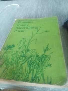 Książka "Pospolite rośliny naczyniowe Polski" 