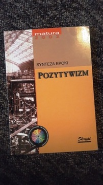 Synteza epoki. Pozytywizm M.Chrzanowski