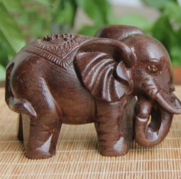 Zestaw Feng Shui słoń koi pixiu żółw monety 