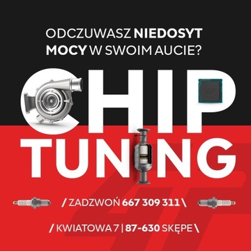 Chiptuning, serwis DPF/Adblue/SCR/EGR, diagnostyka