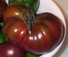 Pomidor Black russian sadzonka
