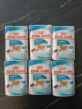 Royal Canin Mini Puppy Wet 85g karma dla psa