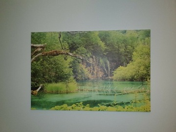 Obraz na płótnie, 120x80, las, drzewa
