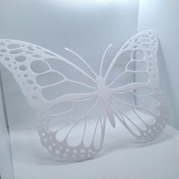 Motyl, 2D, dekoracja na płaską powierzchnię