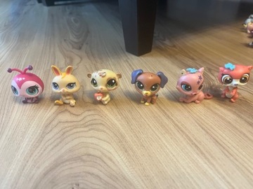 littlest pet shop 6 sztuk 