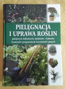 Pielęgnacja i uprawa roślin pokojowych.... SAMP