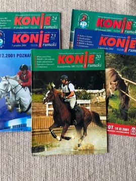 KONIE I RUMAKI  rocznik 2001 5 sztuk