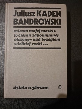 Książka dzieła wybrane Juliusz Kaden Bandrowski