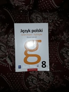 J. polski gramatyka i stylistyka kl.8  ćw. WSIP