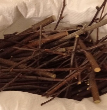 Gałązki brzozy tegoroczne 5kg 15cm
