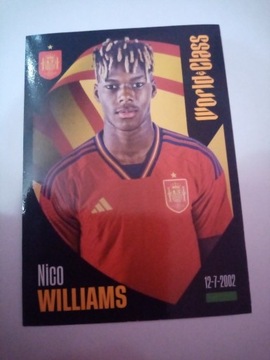 * World class naklejki 2024 NICO WILLIAMS 322