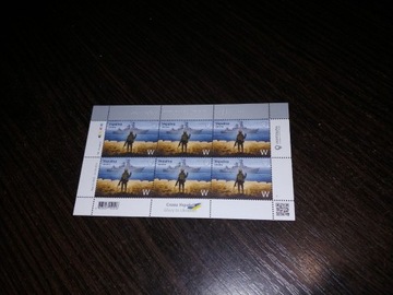 6 znaczek pocztowy Ruski wojenny okręt W Ukraina