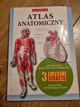 atlas anatomiczny buchmann