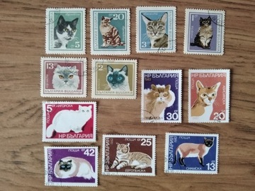 BUŁGARIA 12 znaczków pocztowych 1983 koty kasowane