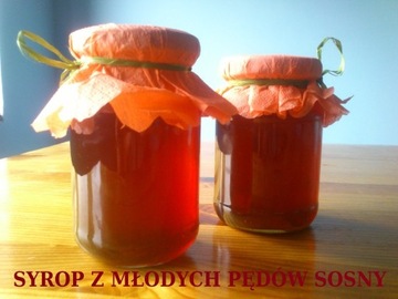 ( Syrop/miód ) Z PĘDÓW SOSNY 315ml