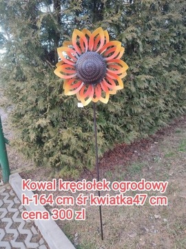 Kowal kręciołek ogrodowy 