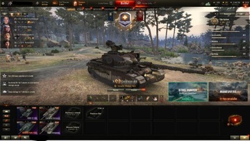 Konto World Of Tanks (4x X,17x Premium,BZ-176)