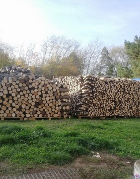 Drewno kominkowe buk sezonowany Wrocław i okolice 