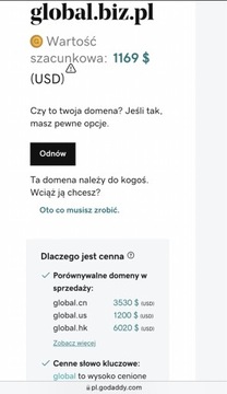Domena global.biz.pl