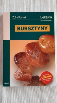 Bursztyny - Zofia Kossak