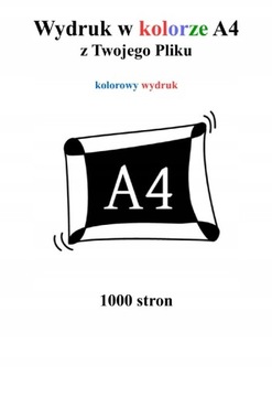 Wydruk druk kolorowy 1000 stron a4 80g