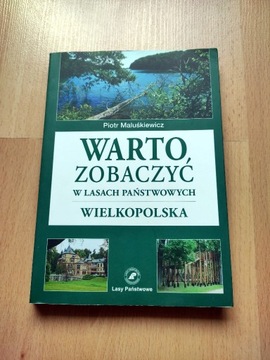 Warto zobaczyć w lasach państwowych - Wielkopolska