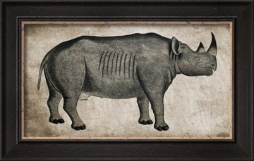 Stary nosorożec. Antyk. Dekoracja salonu. 46x30 cm