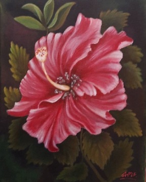 Obraz: ręcznie malowany "Hibiskus" 30 x 24cm
