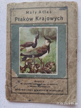 Mały atlas ptaków krajowych