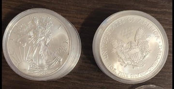 Monety 1 $ 1 oz Amerykański Srebrny Orzeł 10 sztuk