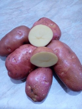 Ziemniaki jadalne bellarosa czerwony 20kg