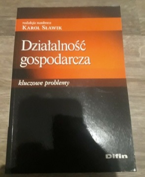 Działalność gospodarcza kluczowe problemy