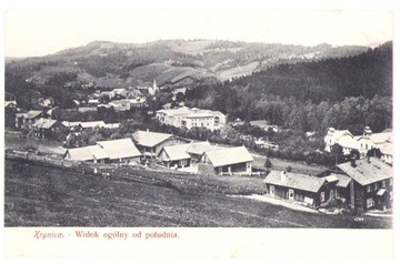 Krynica. Widok ogólny od południa-ca.1910 stan bdb