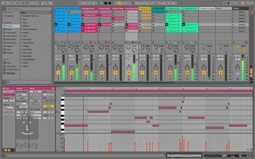 Ableton Live 10 Suite (DIGI KLUCZ) + push bundle