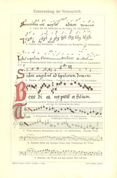 Stare Instrumenty muzyczne   reprint XIX w. grafik