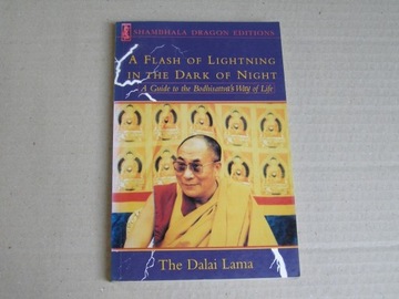 Dalai Lama Flash of lightning in dark of night